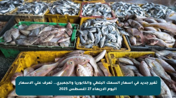 تغير جديد في أسعار السمك البلطي والكابوريا والجمبري.. تعرف على الأسعار اليوم الأربعاء 27 أغسطس 2025